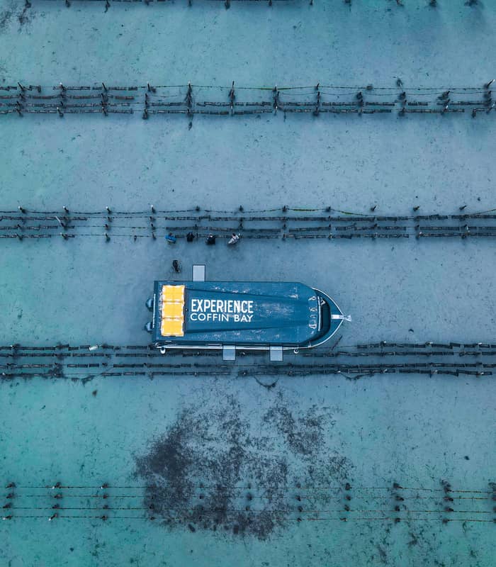 A direct overhead aerial view of the "Experience Coffin Bay" boat positioned among rows of oyster leases in the shallow, clear waters of Coffin Bay. This region is world-renowned for its premium seafood and immersive culinary tours.