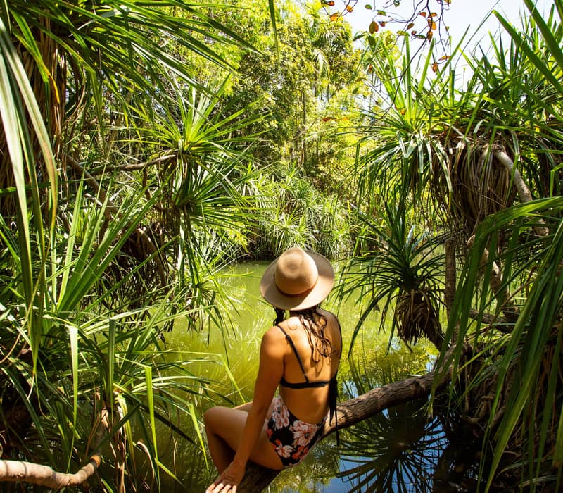 A peaceful scene of a woman sitting on a fallen branch over a clear, turquoise spring-fed pool, surrounded by the dense pandanus and monsoon forest of Berry Springs Nature Park.