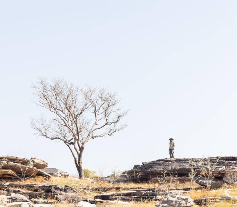 An Aboriginal guide stands atop a weathered rock formation under a clear sky, sharing the living cultural landscape of Kakadu National Park.