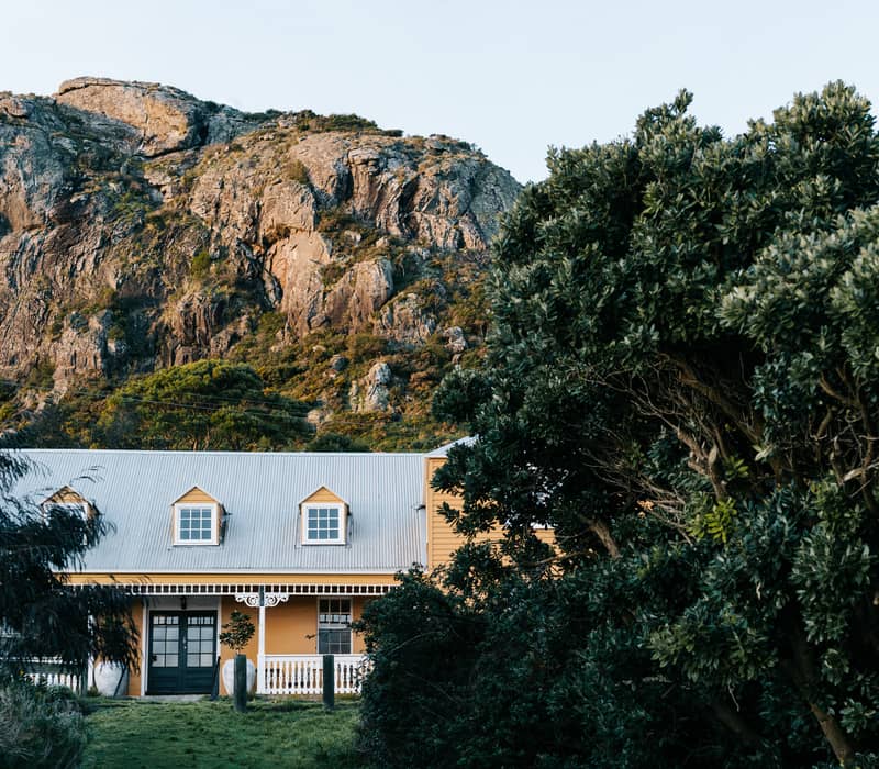 The yellow facade and silver gabled roof of a heritage inn are partially obscured on the right by the dense, dark green leaves of a large coastal tree. In the background, the rugged, sun-drenched rocky cliffs of The Nut tower over the building under a pale blue sky.